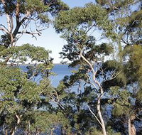The Edgewater Bed amp Breakfast - Tourism Adelaide