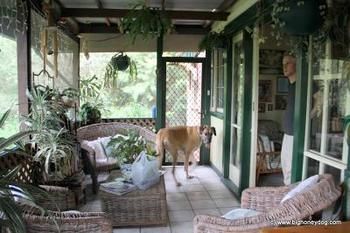 Hamilton Heritage B&B - Tourism Adelaide 2