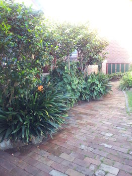 Hamilton Heritage B&B - Tourism Adelaide 14