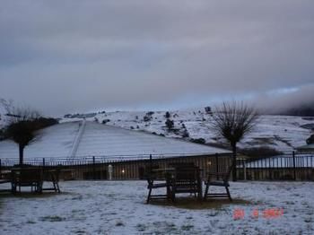 Bowen Inn Motel - Tourism Adelaide 0