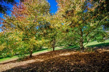 Avoca Valley Bed & Breakfast - Tourism Adelaide 14