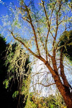 Avoca Valley Bed & Breakfast - Tourism Adelaide 23