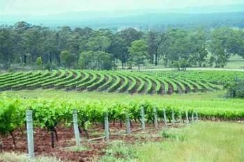 Hunter Hideaway Cottages - Tourism Adelaide 3