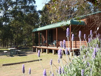 Hunter Hideaway Cottages - Tourism Adelaide 4