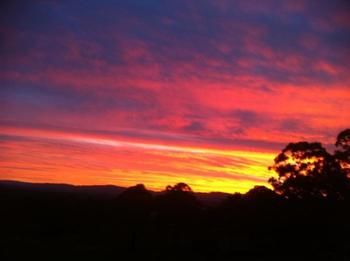 Rothbury Escape - Tourism Adelaide 11