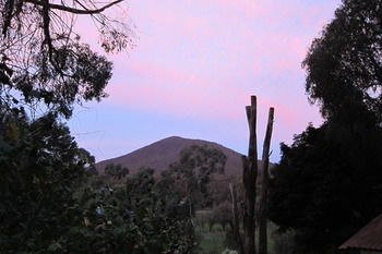 Cherryblossom B&B - Tourism Adelaide 35