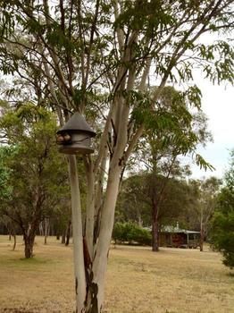 Buffs At Pokolbin - Tourism Adelaide 2