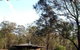 Buffs At Pokolbin - thumb 7