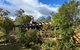 Buffs At Pokolbin - thumb 15
