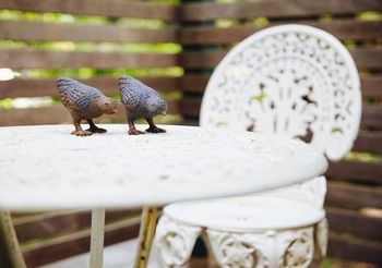 Strathvea Guest House - Tourism Adelaide 19