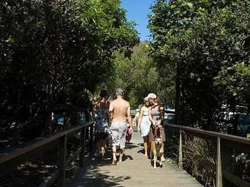 Pebbles At Mudjimba Beach - Tourism Adelaide 4