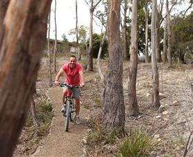 Tranquil Point Retreat - Tourism Adelaide 1