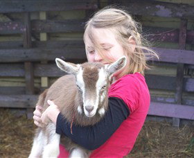 Eden Orchard And Farmstay - Tourism Adelaide 2