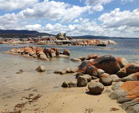 Lake Eckersley Campground - Tourism Adelaide 0