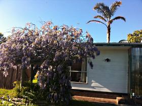 North East Apartments - Tourism Adelaide 1