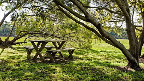 Freshwater Creek Cottages - Tourism Adelaide 4