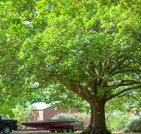Lakes and Craters Holiday Park - Tourism Adelaide