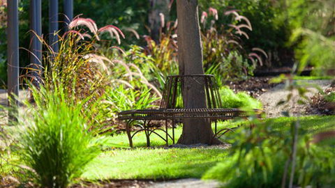 Comfort Inn & Suites Blazing Stump - Tourism Adelaide 5