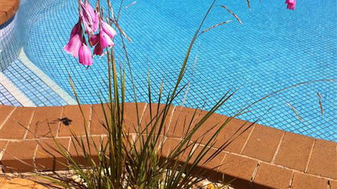 The Murray View Motel - Tourism Adelaide 6