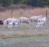 Auberge Woodend - Tourism Adelaide