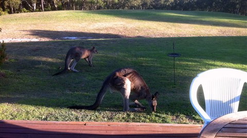 Lorne Bush House Cottages & Eco Retreats - Tourism Adelaide 8