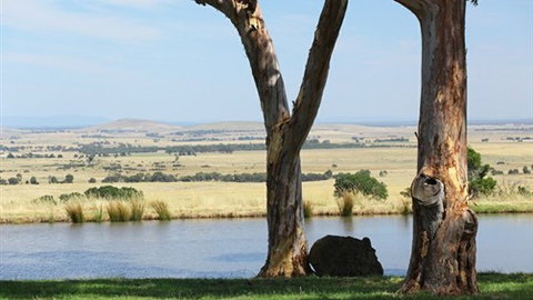 Tuki Trout Farm And Retreat - Tourism Adelaide 3