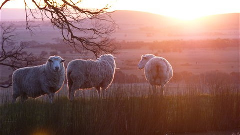 Tuki Trout Farm And Retreat - Tourism Adelaide 4