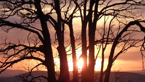 Tuki Trout Farm And Retreat - Tourism Adelaide 5