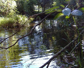 Mary Anns Cottage - Tourism Adelaide 1