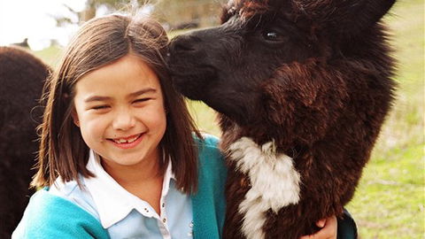 Sabrelyn Park - Tourism Adelaide 1