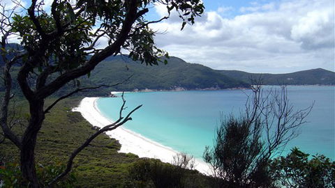 Sabrelyn Park - Tourism Adelaide 6