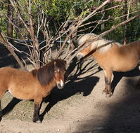 Cloud End Farmstay - Tourism Adelaide