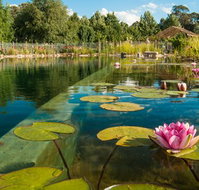 Planetrees Estate  - Tourism Adelaide