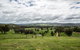 Holmesglen At Eildon - The Homestead - thumb 3