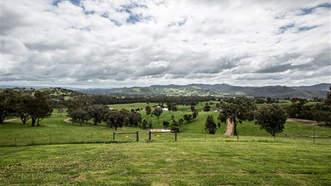 Holmesglen At Eildon - The Homestead - Tourism Adelaide 3