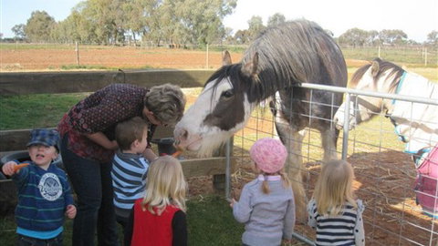 Cabarita Lodge - Tourism Adelaide 4