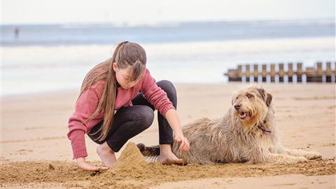 Front Beach Torquay Beach Houses - Tourism Adelaide 4
