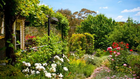 Kookaburra Ridge - Tourism Adelaide 3