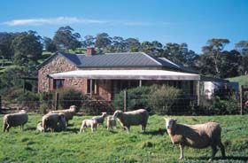 Amanda Stichbury Cottage - Tourism Adelaide 0
