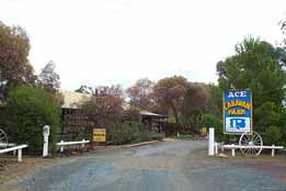 Ace Caravan Park - Tourism Adelaide 0