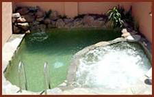 Winsor Park Motor Inn - Tourism Adelaide 1