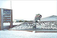 Big Trout Motor Inn - Tourism Adelaide 1