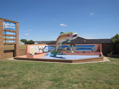 Big Trout Motor Inn - Tourism Adelaide 7