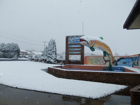 Big Trout Motor Inn - Tourism Adelaide 11