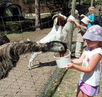 BIG4 Bairnsdale Holiday Park - Tourism Adelaide