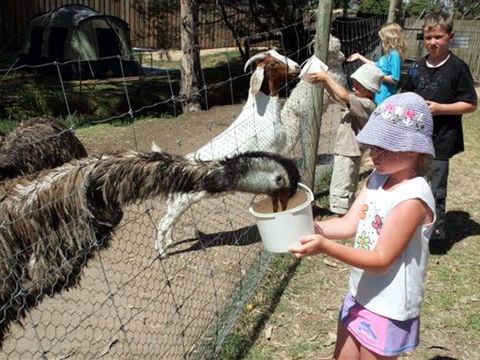 BIG4 Bairnsdale Holiday Park - Tourism Adelaide 0