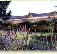 Bluebush Estate - Tourism Adelaide