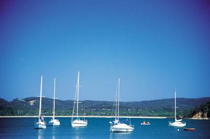 Boydtown Caravan & Camping Park - Tourism Adelaide 2