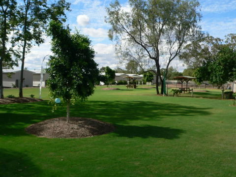 Chinchilla Tourist Park - Tourism Adelaide 2