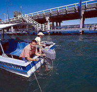 Comfort Inn Mandurah - Tourism Adelaide